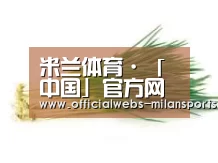 产品名称二